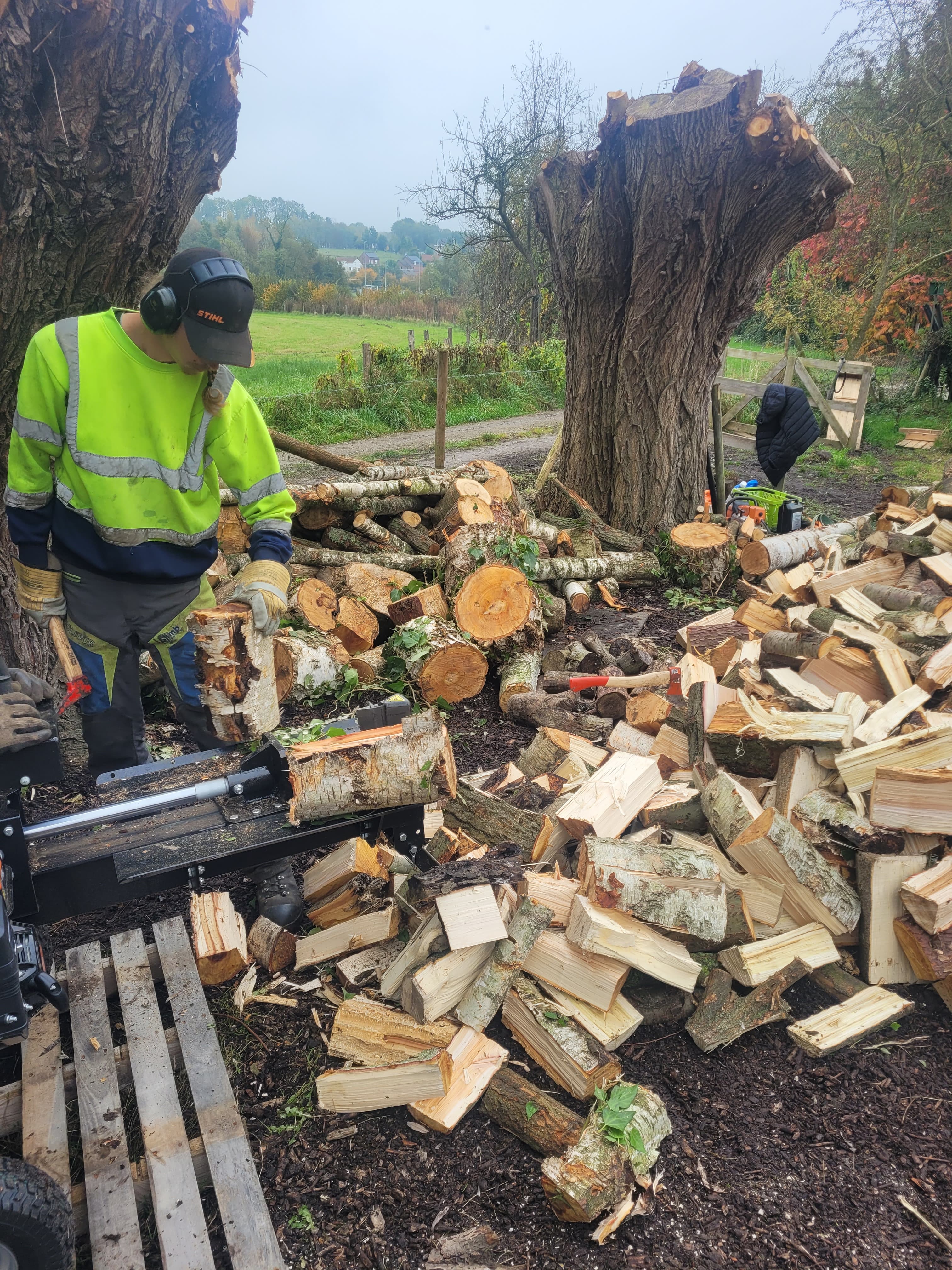 hout4