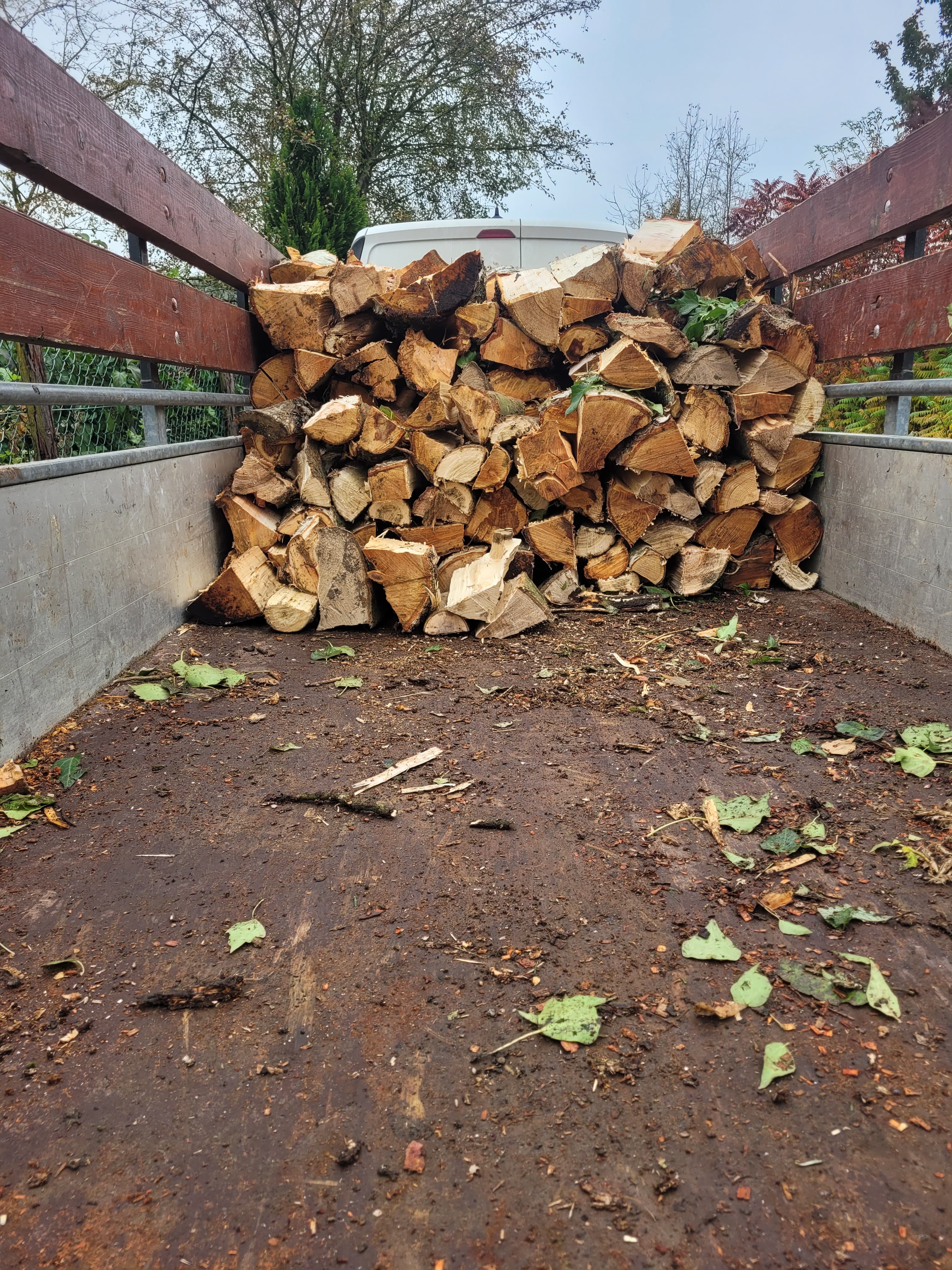 hout3