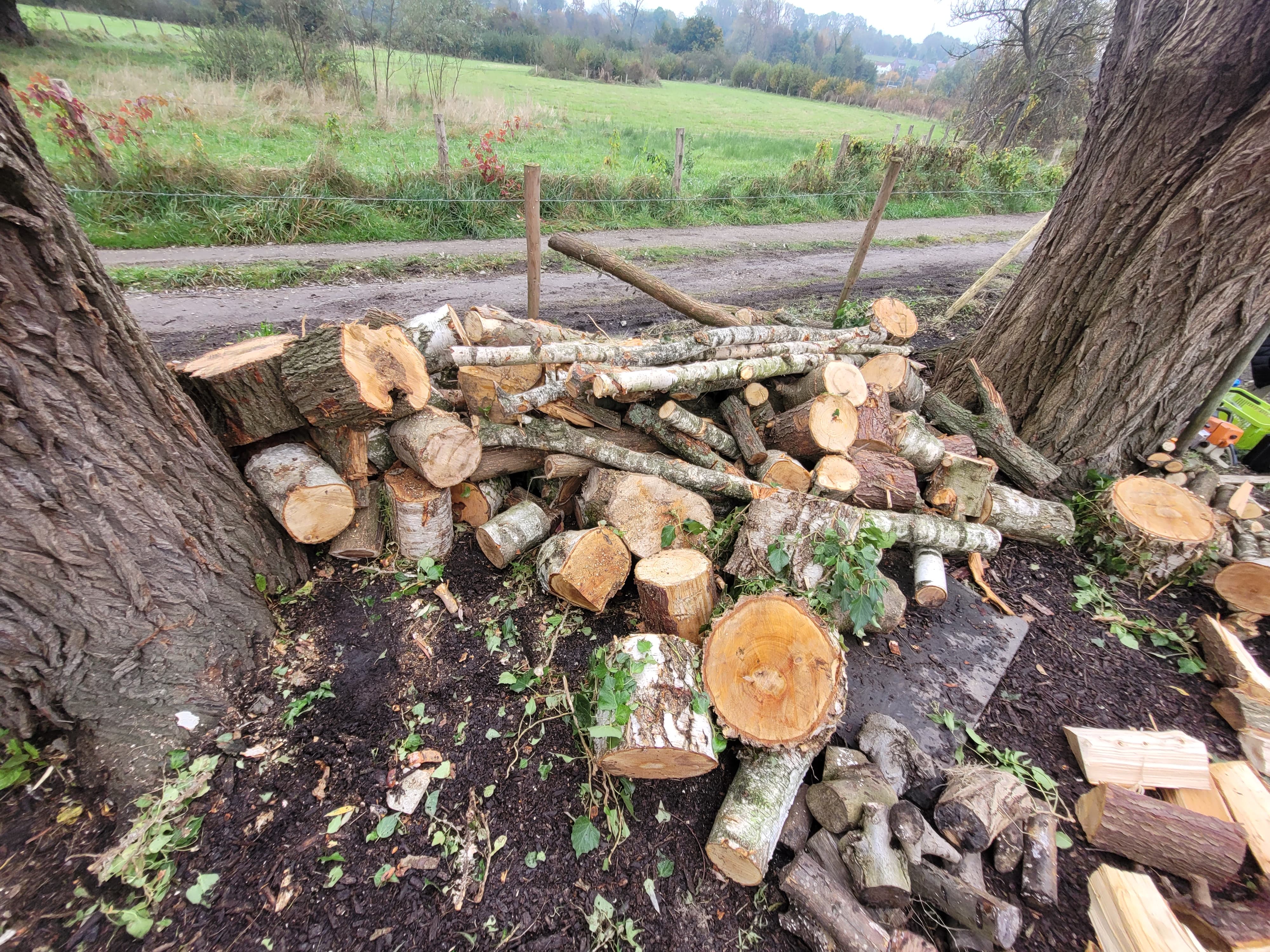 hout2