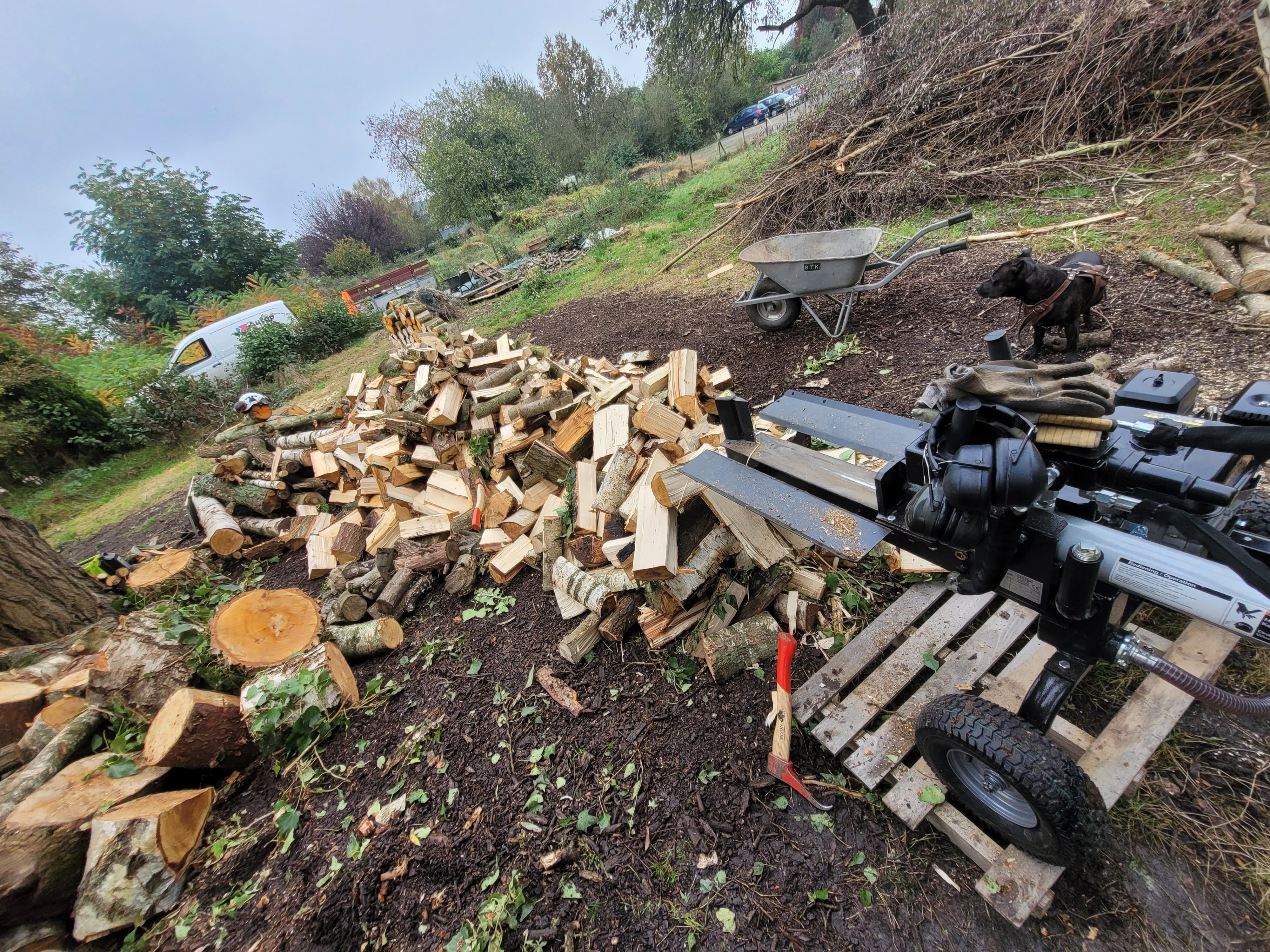 hout5
