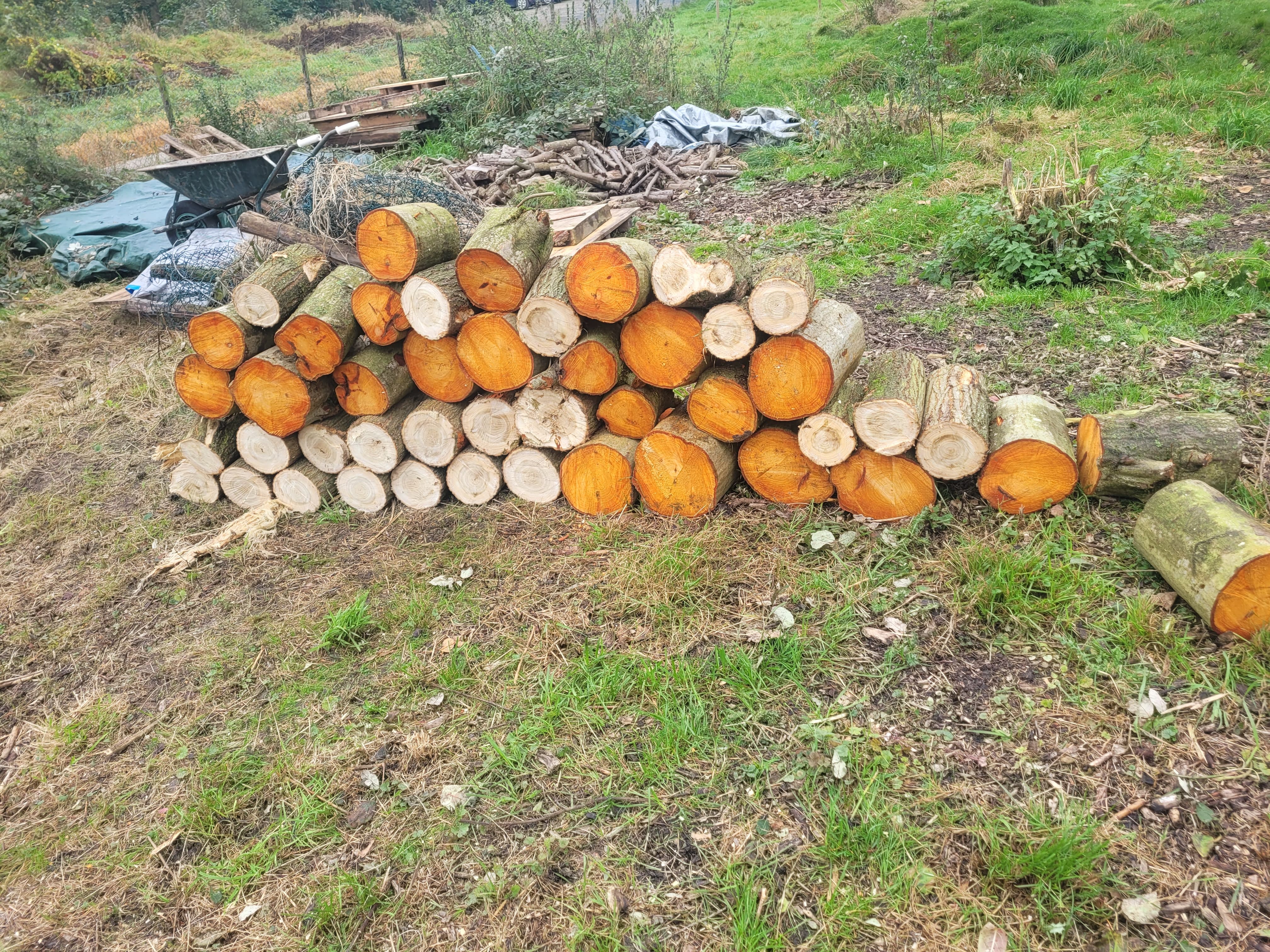 hout7