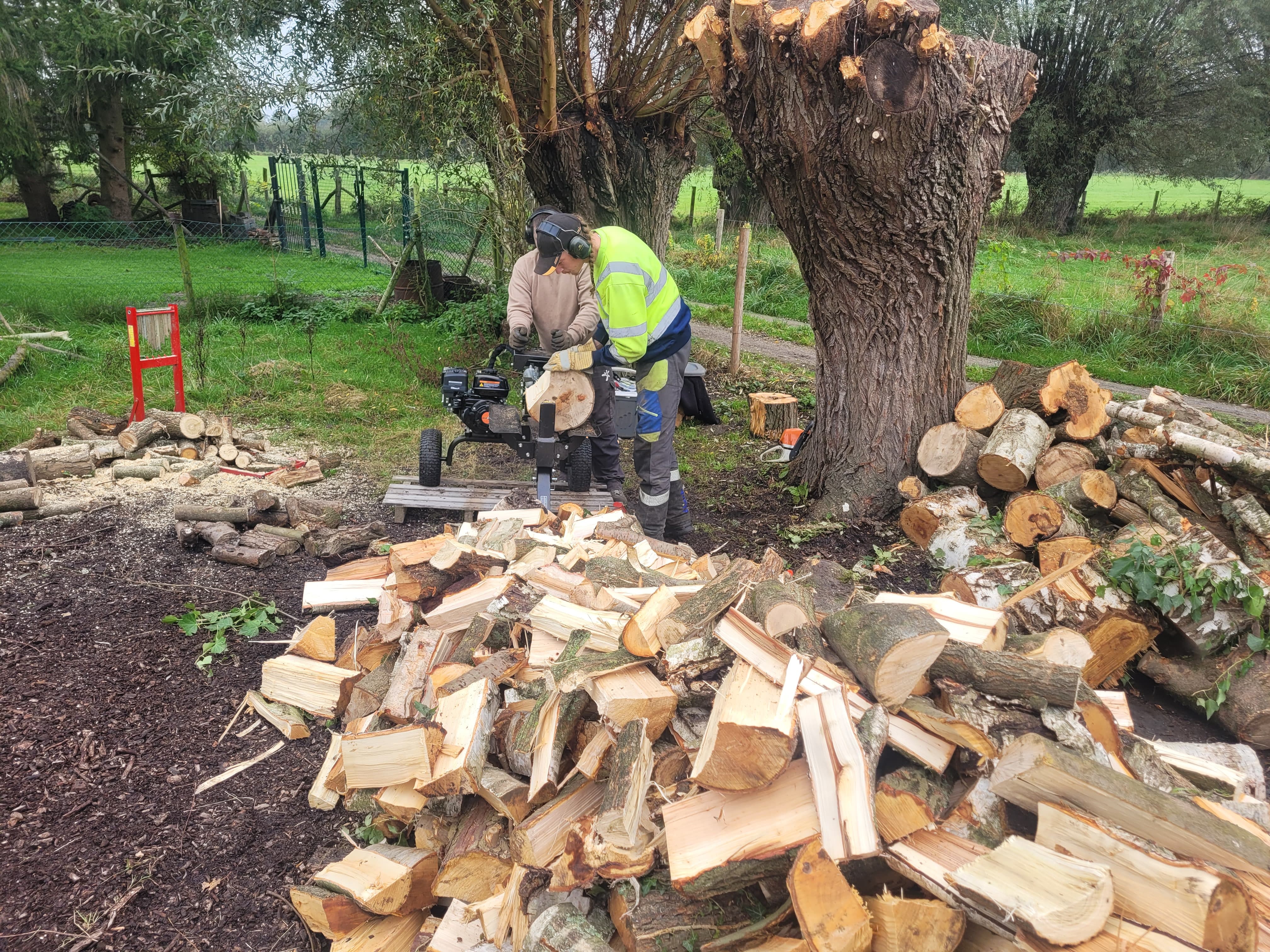 hout8